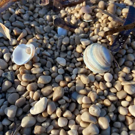 Playa De Turmalina - Denia El Verger