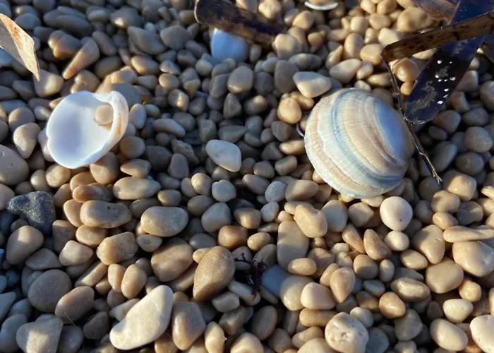 Playa De Turmalina - Denia 엘 베르헤르